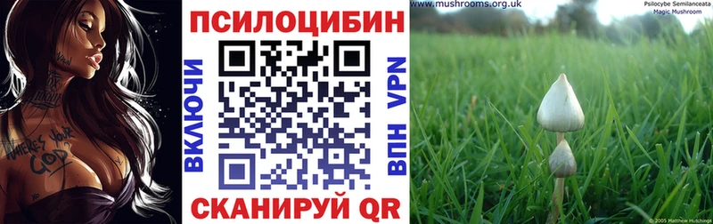 мега онион  Циолковский  Галлюциногенные грибы GOLDEN TEACHER 