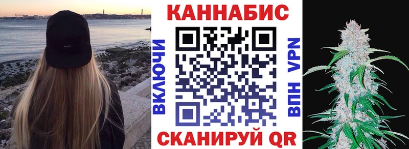 Бошки марихуана ГИДРОПОН  где купить наркоту  Циолковский 